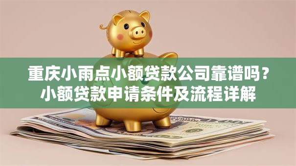 重庆小雨点小额贷款公司靠谱吗？小额贷款申请条件及流程详解