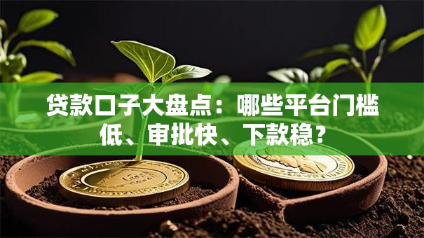 贷款口子大盘点：哪些平台门槛低、审批快、下款稳？
