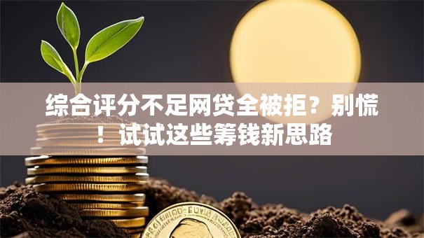 综合评分不足网贷全被拒？别慌！试试这些筹钱新思路