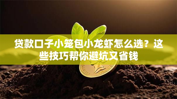 贷款口子小笼包小龙虾怎么选？这些技巧帮你避坑又省钱