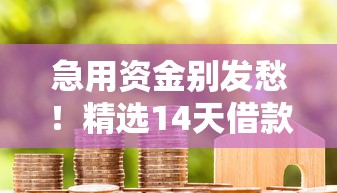 急用资金别发愁！精选14天借款口子链接全解析指南