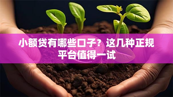 小额贷有哪些口子？这几种正规平台值得一试