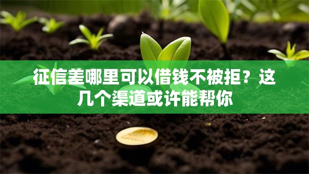 征信差哪里可以借钱不被拒？这几个渠道或许能帮你