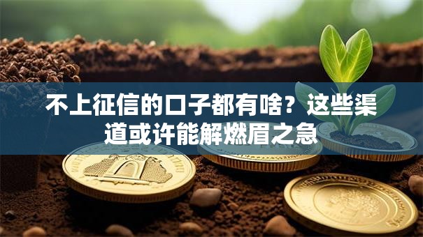 不上征信的口子都有啥？这些渠道或许能解燃眉之急