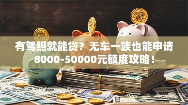 有驾照就能贷？无车一族也能申请8000-50000元额度攻略！