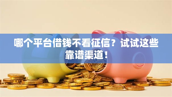 哪个平台借钱不看征信？试试这些靠谱渠道！