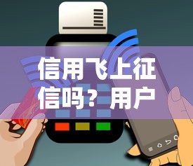 信用飞上征信吗？用户最关心的征信查询问题详解