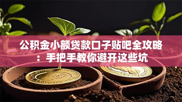 公积金小额贷款口子贴吧全攻略：手把手教你避开这些坑