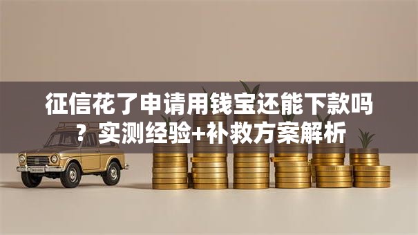 征信花了申请用钱宝还能下款吗？实测经验+补救方案解析