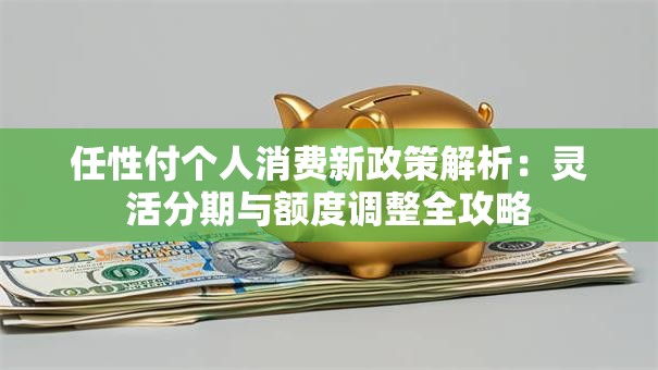 任性付个人消费新政策解析：灵活分期与额度调整全攻略