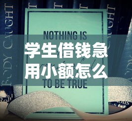 学生借钱急用小额怎么办？真实经验+避坑指南