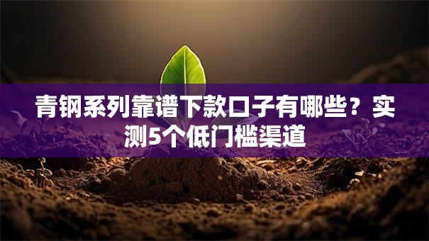 青钢系列靠谱下款口子有哪些？实测5个低门槛渠道