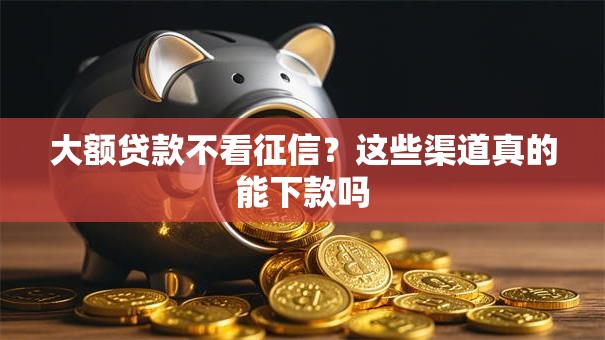 大额贷款不看征信？这些渠道真的能下款吗