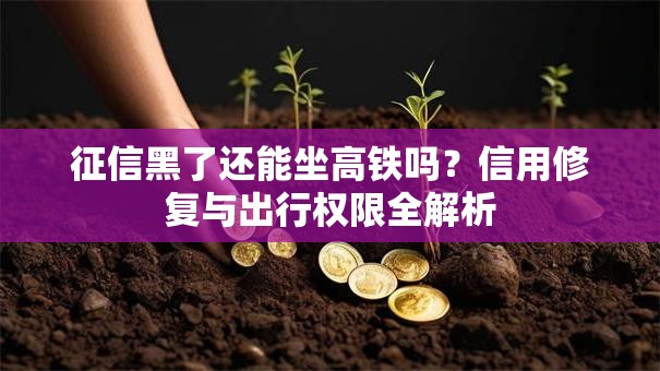 征信黑了还能坐高铁吗？信用修复与出行权限全解析