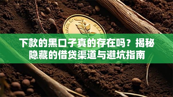 下款的黑口子真的存在吗？揭秘隐藏的借贷渠道与避坑指南
