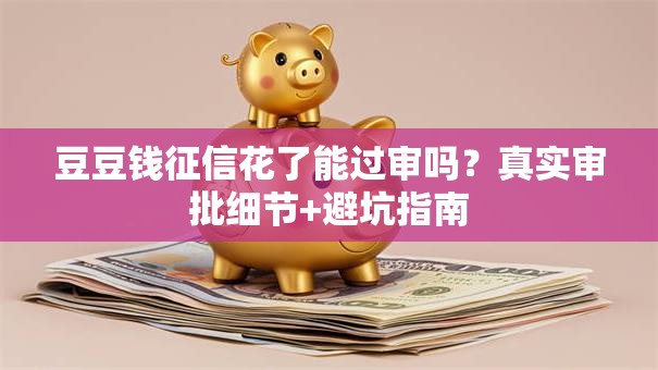 豆豆钱征信花了能过审吗？真实审批细节+避坑指南