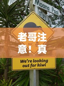 老哥注意！真有不上征信的贷款口子吗？实测分析这几种情况