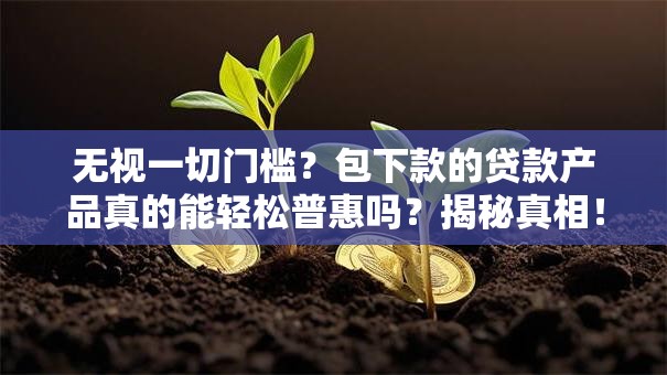 无视一切门槛？包下款的贷款产品真的能轻松普惠吗？揭秘真相！