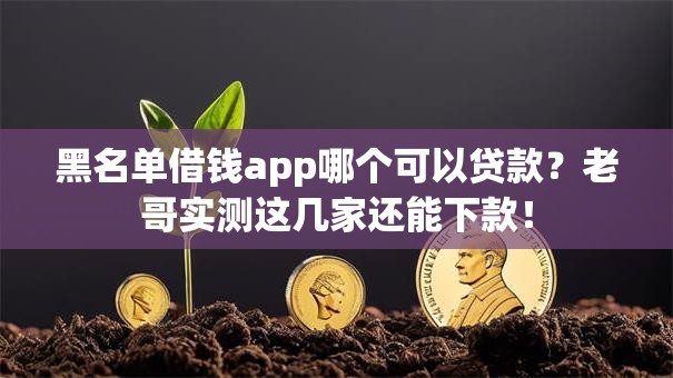 黑名单借钱app哪个可以贷款？老哥实测这几家还能下款！