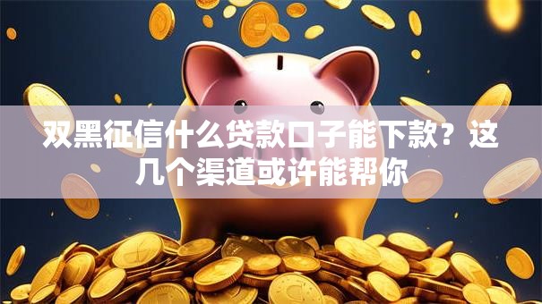 双黑征信什么贷款口子能下款？这几个渠道或许能帮你