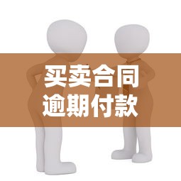 买卖合同逾期付款怎么办？贷款解决方案与风险防范指南
