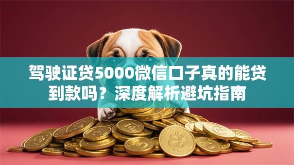 驾驶证贷5000微信口子真的能贷到款吗？深度解析避坑指南