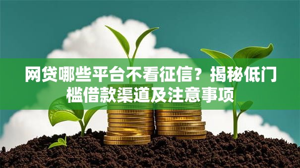 网贷哪些平台不看征信？揭秘低门槛借款渠道及注意事项