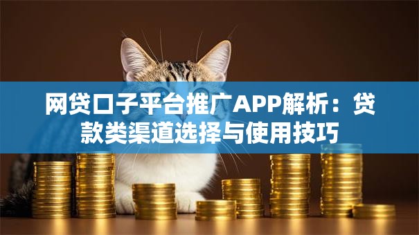 网贷口子平台推广APP解析：贷款类渠道选择与使用技巧