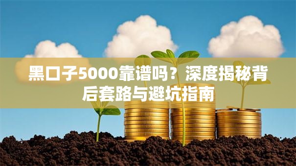 黑口子5000靠谱吗？深度揭秘背后套路与避坑指南