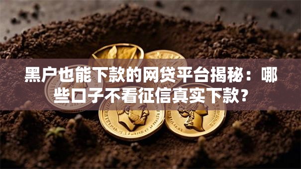 黑户也能下款的网贷平台揭秘：哪些口子不看征信真实下款？