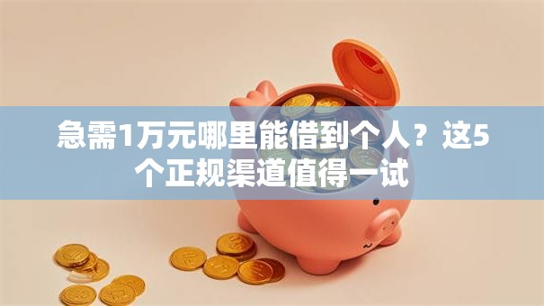 急需1万元哪里能借到个人？这5个正规渠道值得一试