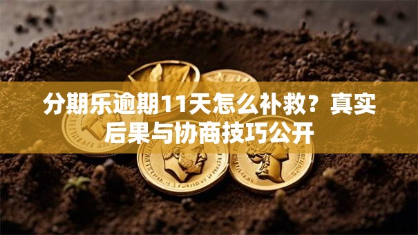 分期乐逾期11天怎么补救？真实后果与协商技巧公开