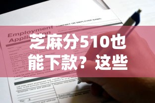 芝麻分510也能下款？这些网贷平台或许能帮你解忧！