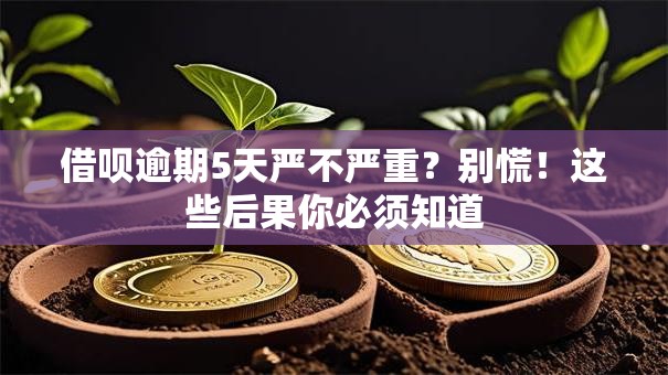 借呗逾期5天严不严重？别慌！这些后果你必须知道