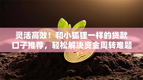 灵活高效！和小狐狸一样的贷款口子推荐，轻松解决资金周转难题