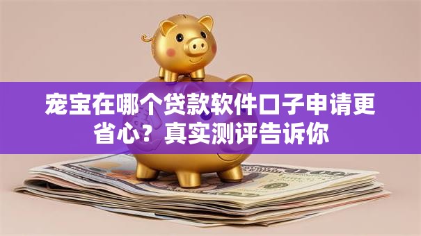 宠宝在哪个贷款软件口子申请更省心？真实测评告诉你