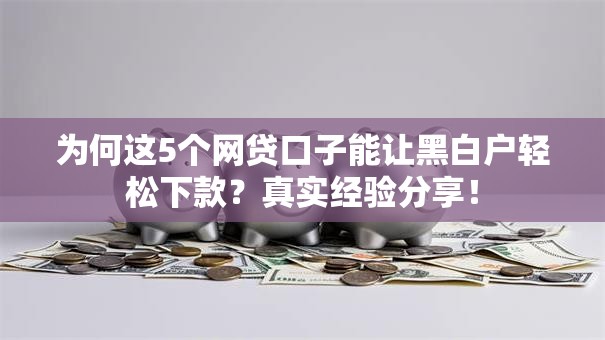 为何这5个网贷口子能让黑白户轻松下款？真实经验分享！