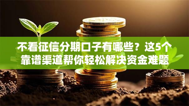 不看征信分期口子有哪些？这5个靠谱渠道帮你轻松解决资金难题