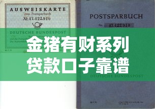 金猪有财系列贷款口子靠谱吗？申请条件和避坑技巧全解析
