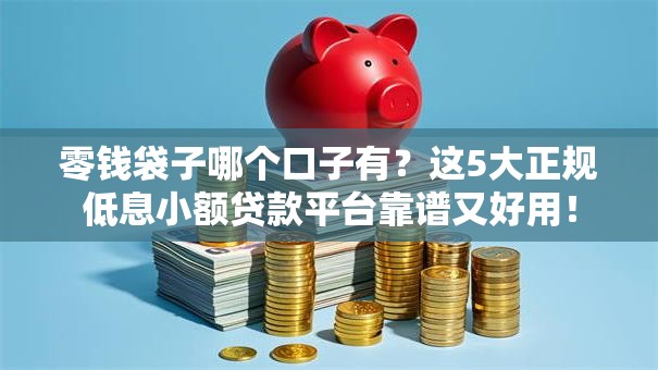 零钱袋子哪个口子有？这5大正规低息小额贷款平台靠谱又好用！