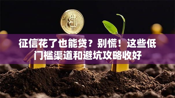 征信花了也能贷？别慌！这些低门槛渠道和避坑攻略收好