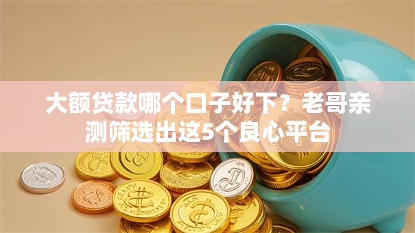 大额贷款哪个口子好下？老哥亲测筛选出这5个良心平台
