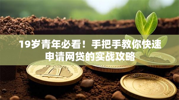 19岁青年必看！手把手教你快速申请网贷的实战攻略