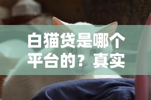 白猫贷是哪个平台的？真实使用体验与平台背景全解析