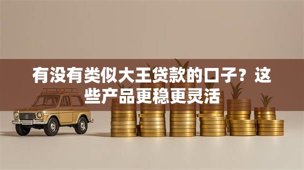 有没有类似大王贷款的口子？这些产品更稳更灵活