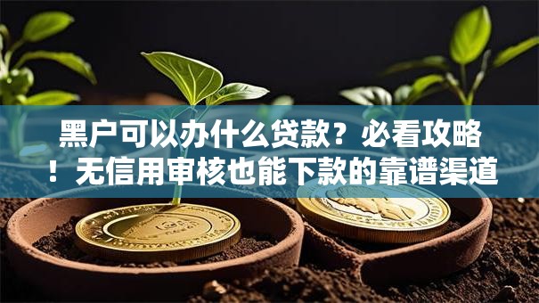 黑户可以办什么贷款？必看攻略！无信用审核也能下款的靠谱渠道