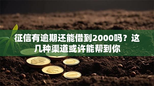 征信有逾期还能借到2000吗？这几种渠道或许能帮到你