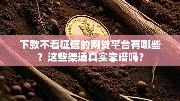 下款不看征信的网贷平台有哪些？这些渠道真实靠谱吗？