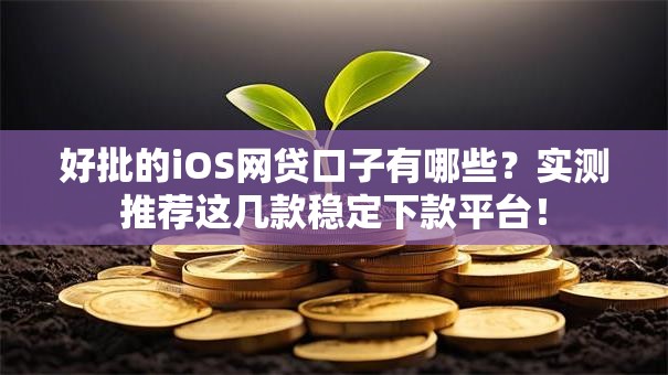 好批的iOS网贷口子有哪些？实测推荐这几款稳定下款平台！