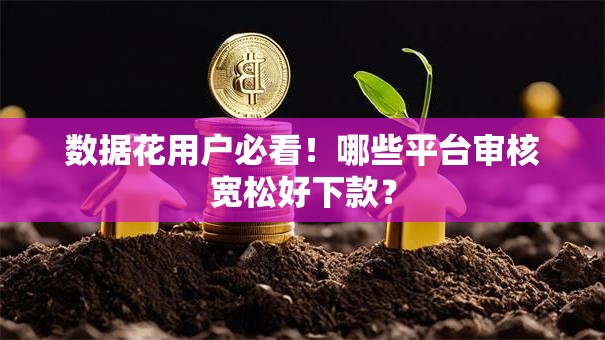 数据花用户必看！哪些平台审核宽松好下款？